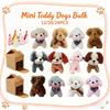 Bonecas e peluches – Acessórios e roupas para bonecas
