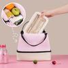 Large Capacity Double-Layer Waterproof Aluminum Foil Insulated Lunch Bag Ziplock Bag