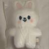 [USED] Stray Kids Dominate Pop-Up Leavitt Standing Plush Toy