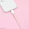 Gourmandies Chiikawa PD60W Compatible USB Cable Chiikawa 2.0 Type-C CK-43A