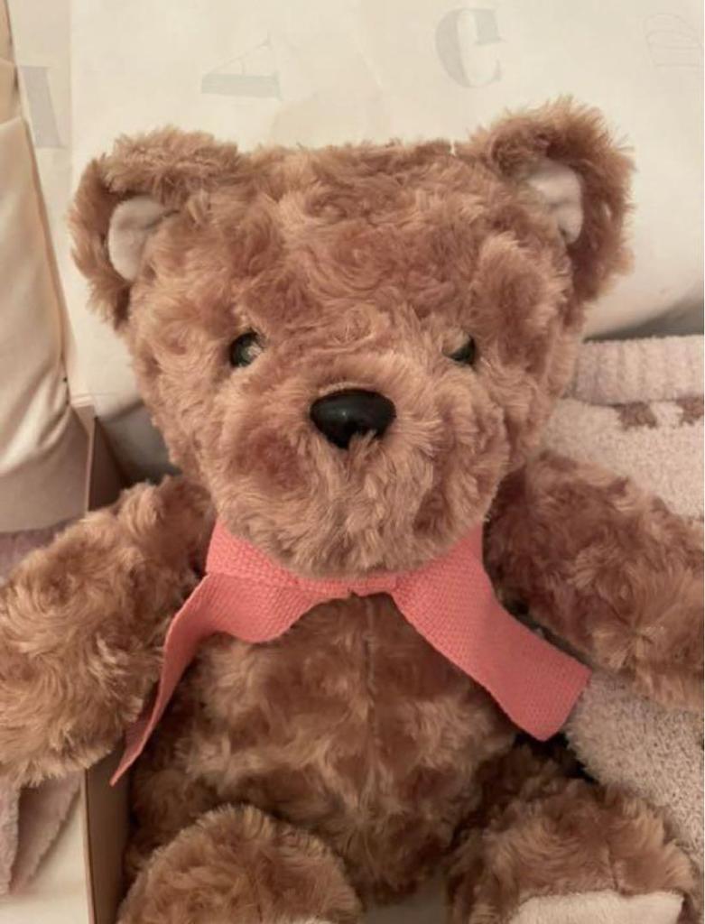 [USED] Darlic 5th Anniversary Novelty Teddy Bear