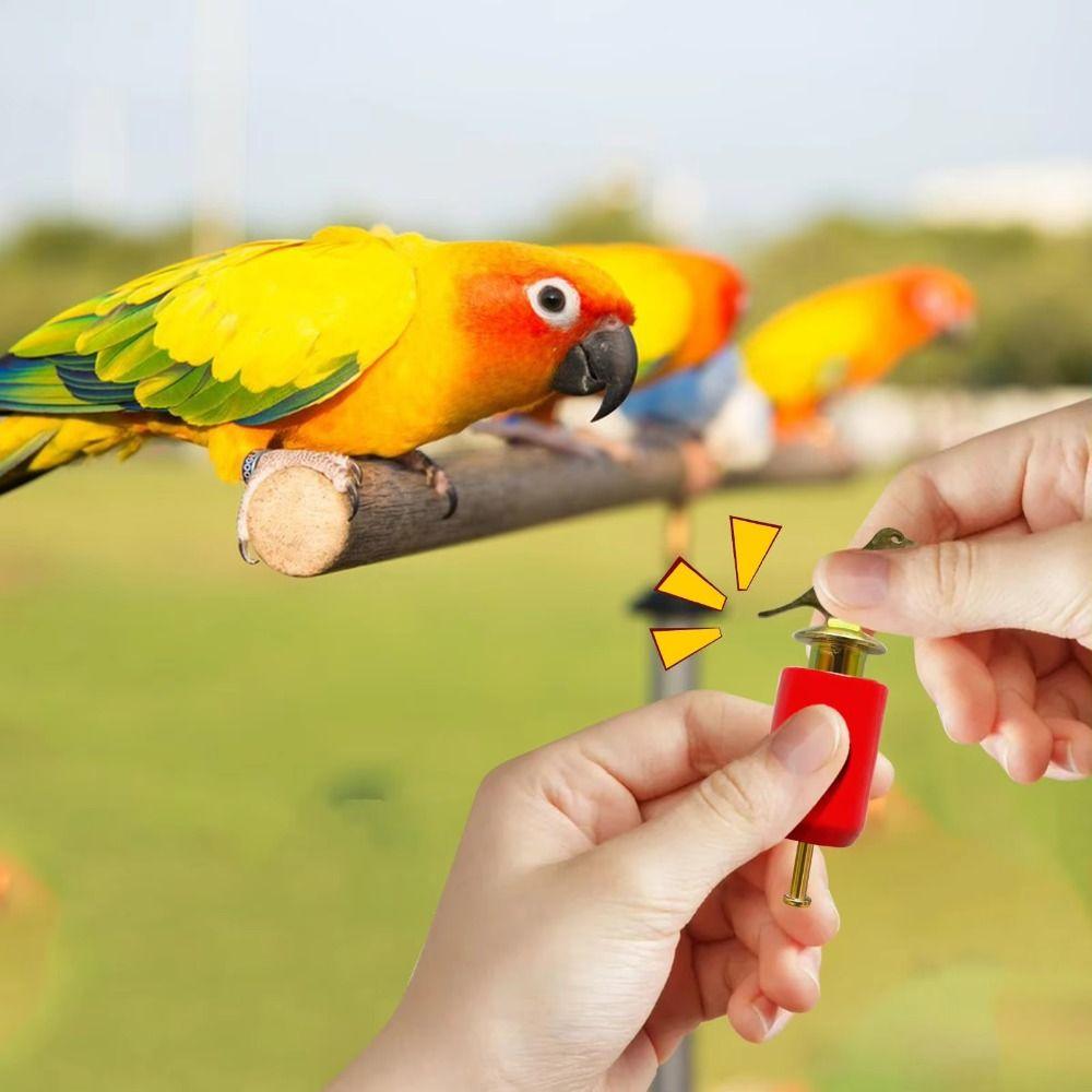 Hand Twisted Bird Call Trainer Realistic Bird Caller Creative Sound Maker Outdoor Play