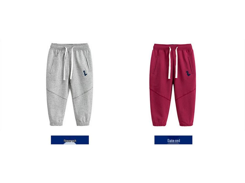2024 Children's Dinosaur Sports Pants - Boys' Autumn Trousers