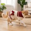 Knit Sweater Dog Sweater Dress Warm Dog Knitted Dress Fashion Dog Pullover Daily Wear