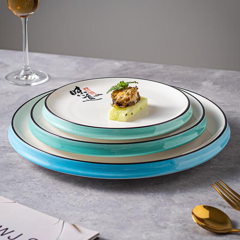 White Ceramic Dinner Plate