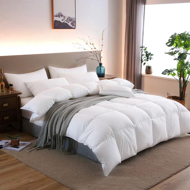 Baiweisi All-Season Velvet Feel Duvet Insert