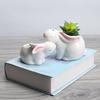 Japanese-Style Simple Cartoon Rabbit Ceramic Flower Pot, Horticultural Creative Succulent Flower Pot Desktop Potted Ornament