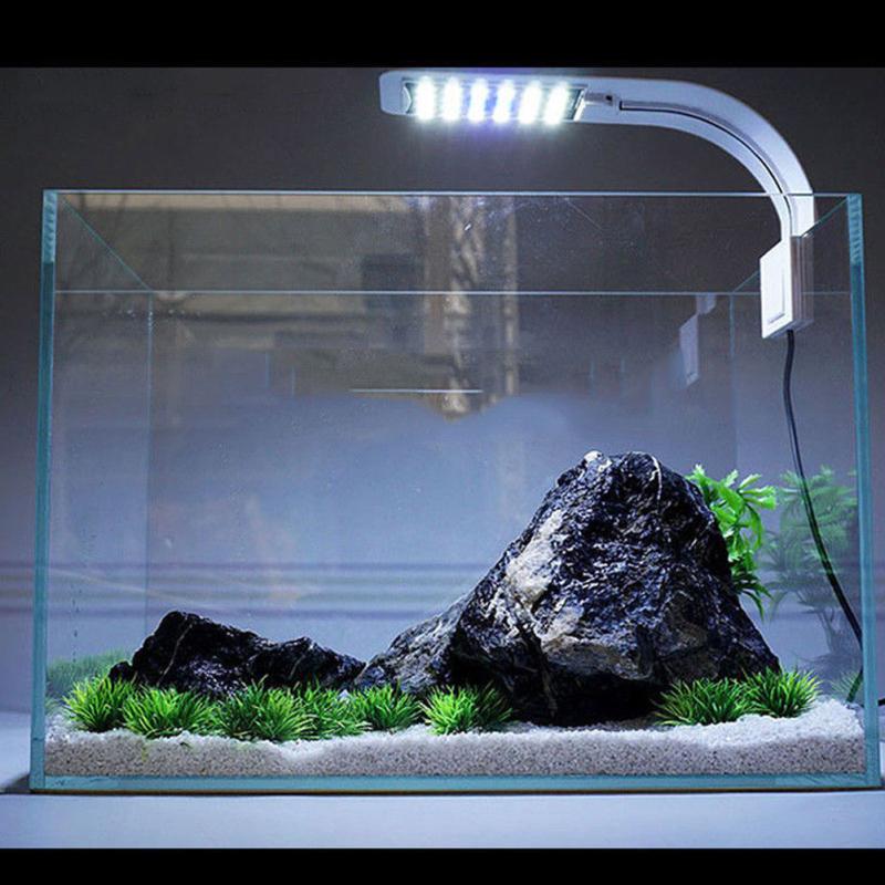 thin fish tank