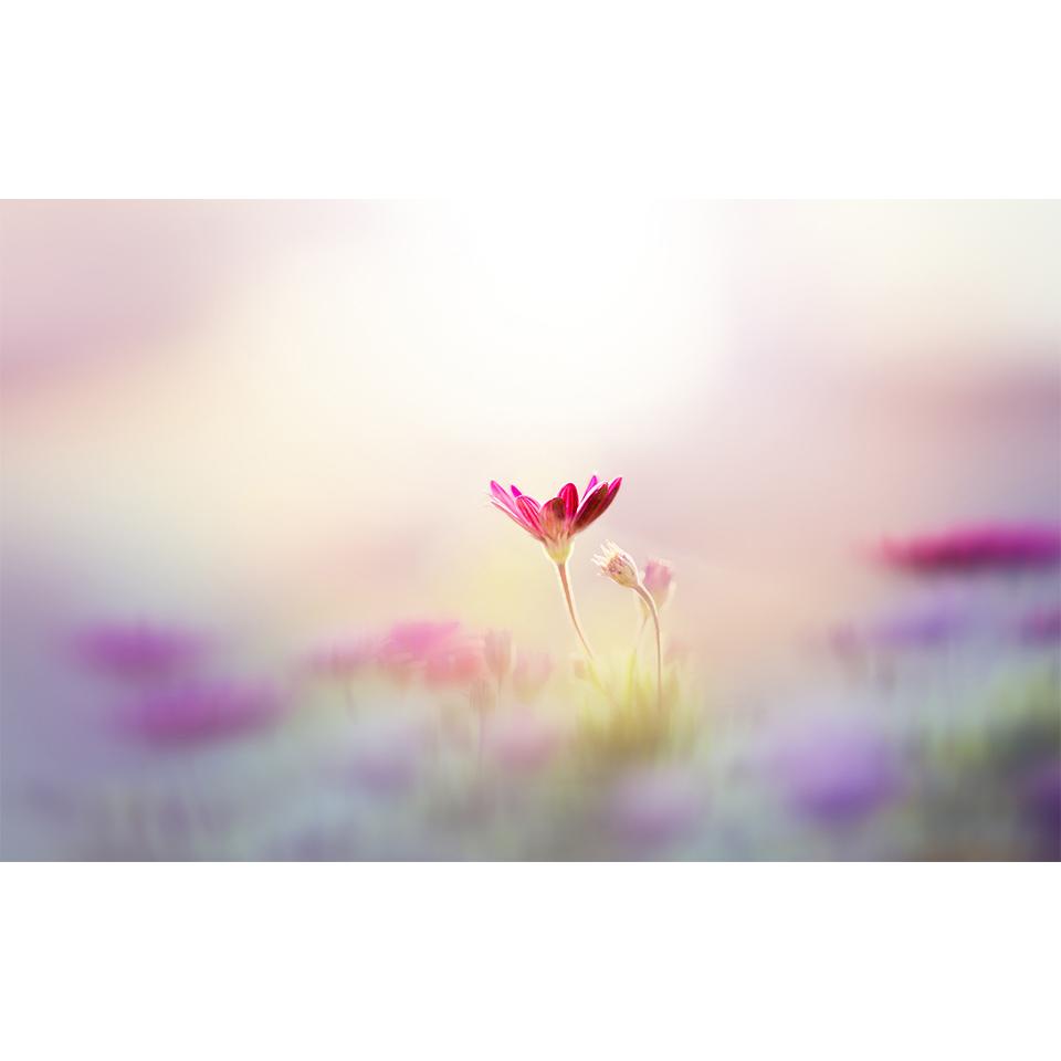 Landscape DIY5D Diamond Painting Rhinestone Pictures Mosaic Landscape Cross Stitch Kit