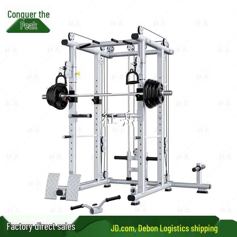 Zhengyue Commercial & Home Free Squat Rack
