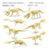 Fossil Dinosaur Skeleton Model With Plastic Material For Kids Educational Decor
