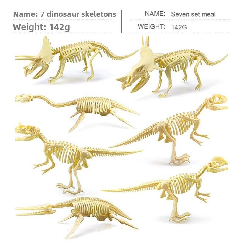 Fossil Dinosaur Skeleton Model With Plastic Material For Kids Educational Decor