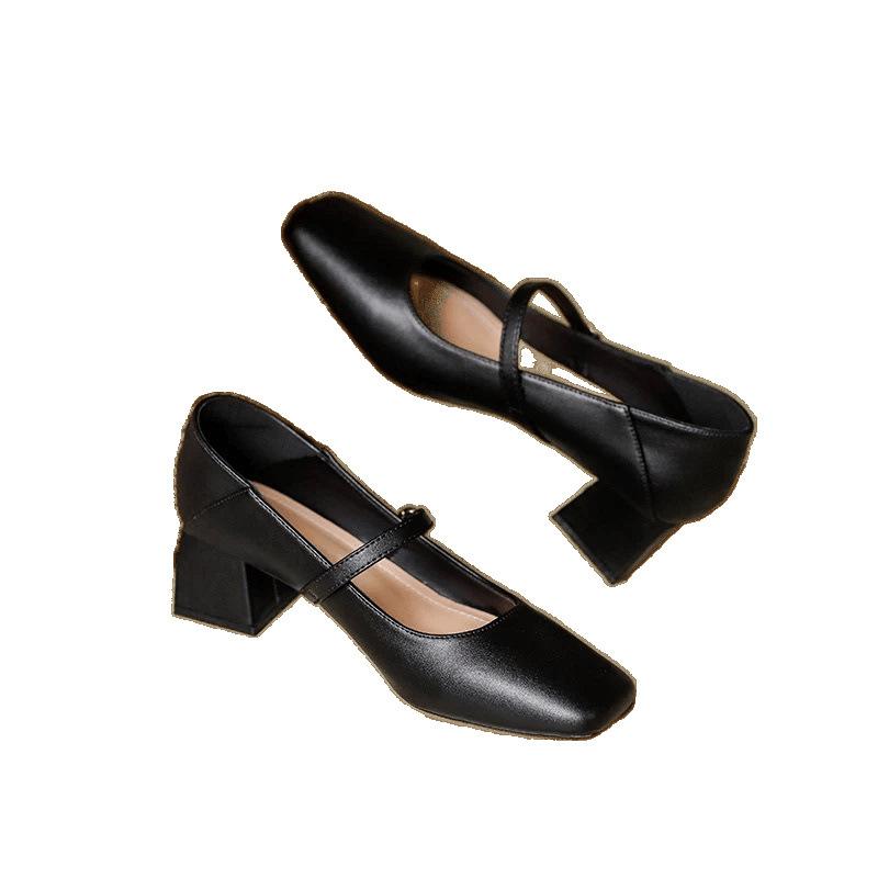 Temperament Coarse Heel Small Leather Shoes Women's Spring and Summer New French Single Shoes Gentle Square Head with Skirt Mary Jane Shoes