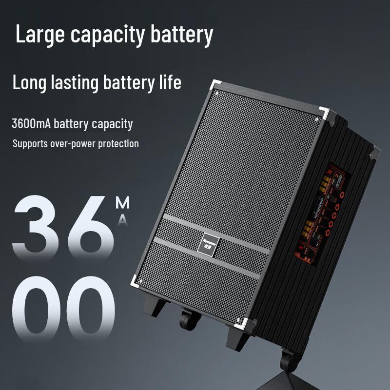 Newmine N519 12-inch Portable Bluetooth KTV Speaker with Dual Mics (CN Version)