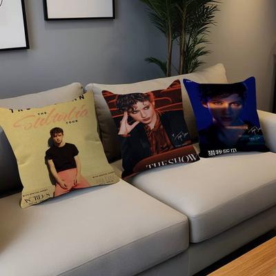 Singer Troye Sivan Cushion Cover Inches Farmhouse Decor Home Throw Pillow Covers for Couch Decorations