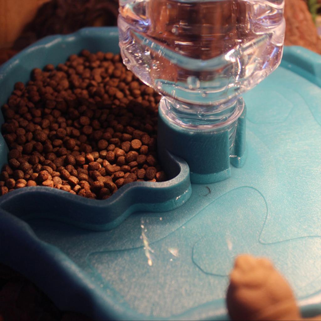 1 Stück Reptilienfutterspender Tränke Automatische Nachfüllung Schildkröten-Wasserspenderflasche Schildkröten-Futter-Wassernapf Futternapf Für Eidechsen