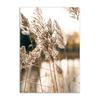 Dried Grass Wall Art Print Nordic Posters Highland Elk Canvas Painting Landscape Dandelion DecorationPictures for Home Room Art