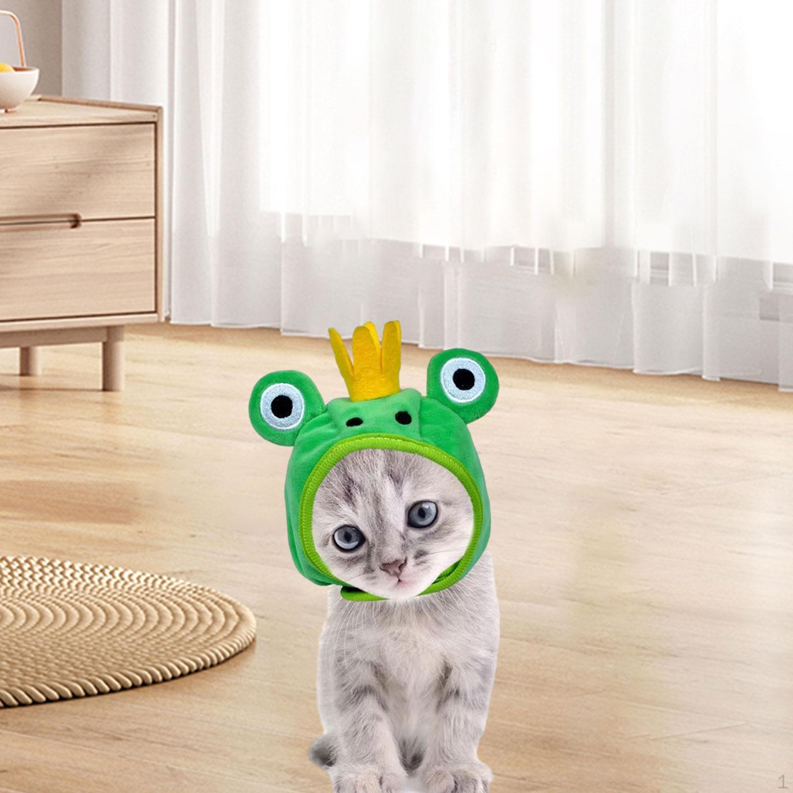 

Кошка Кошки для ЩЕНКОВ СОБАКИ Фотографии Собственность Головной убор Фото Реквизит Фестиваль S