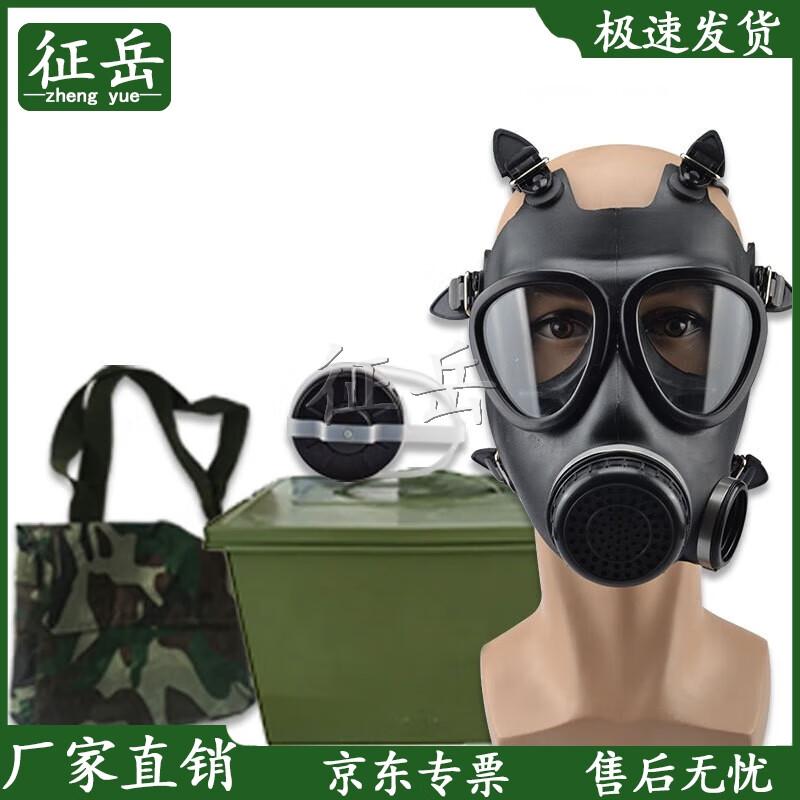 Zhengyue MF11B Full Face Respirator 5-Piece Kit