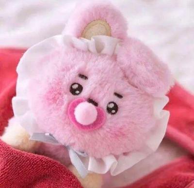 [USED] BT21 Baby Plush Toy (NEWBORN2) COOKY
