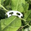 Plant Bending Device Plastic Tomato Clip Fixing Clip Reinforcement Clip Ear Handle Bending Branch Trunk Reinforcement Clip