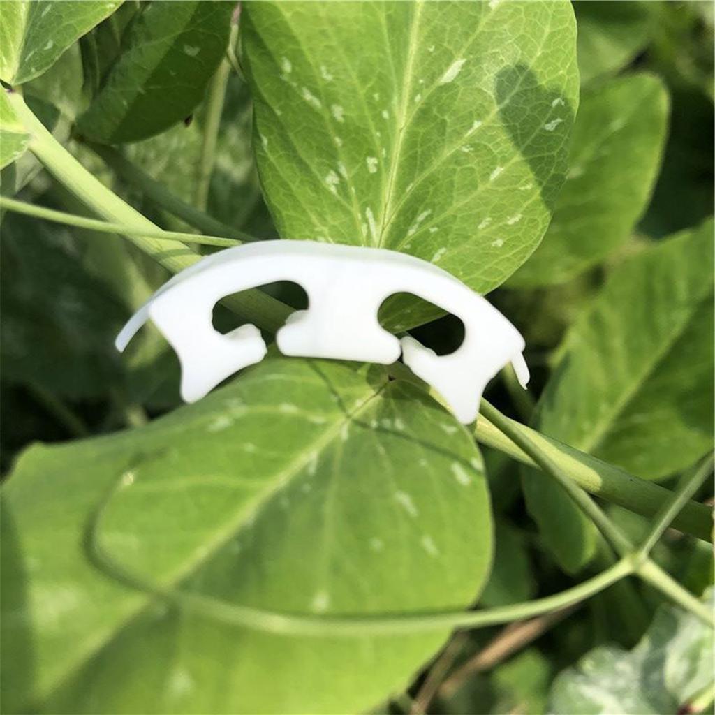 Plant Bending Device Plastic Tomato Clip Fixing Clip Reinforcement Clip Ear Handle Bending Branch Trunk Reinforcement Clip