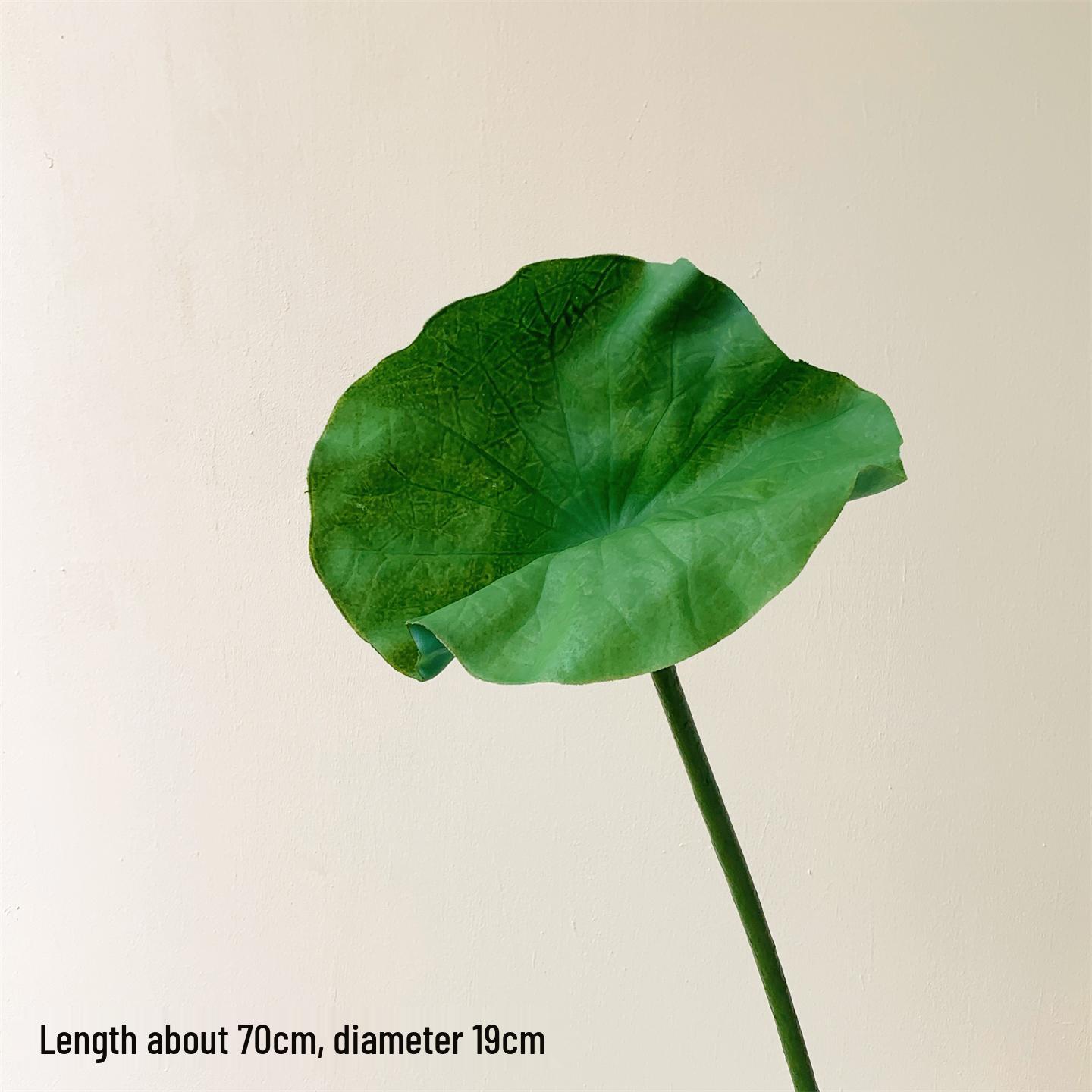 

Realistic Lotus & Leaf with Stem Props - Artificial Water Lily Arrangement for Living Room Decoration