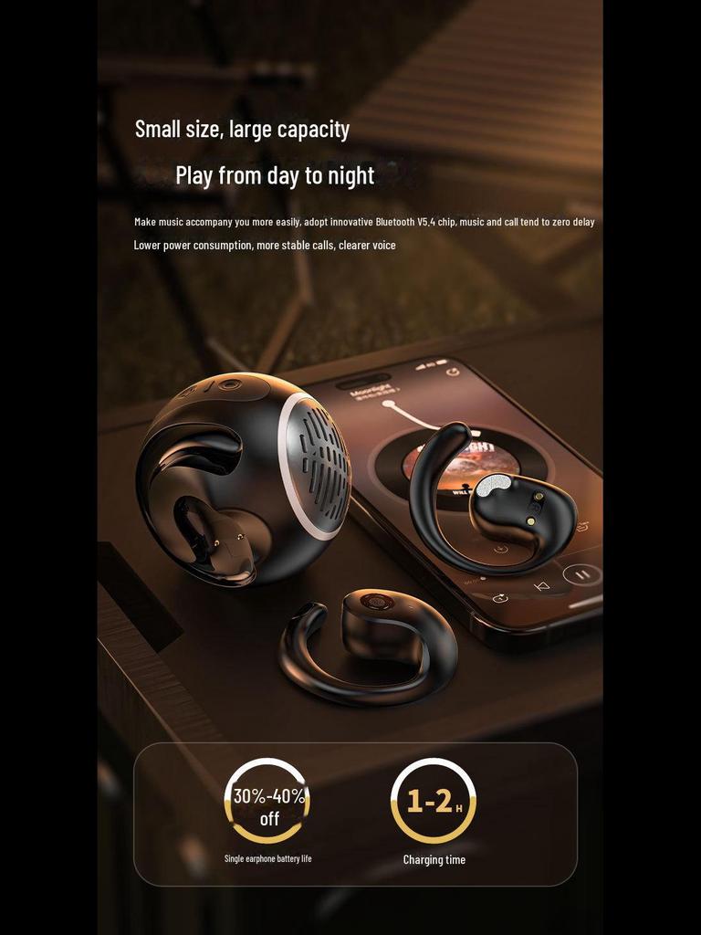 JM13PRO Bluetooth 5.4 Earphone & Mini Speaker Combo