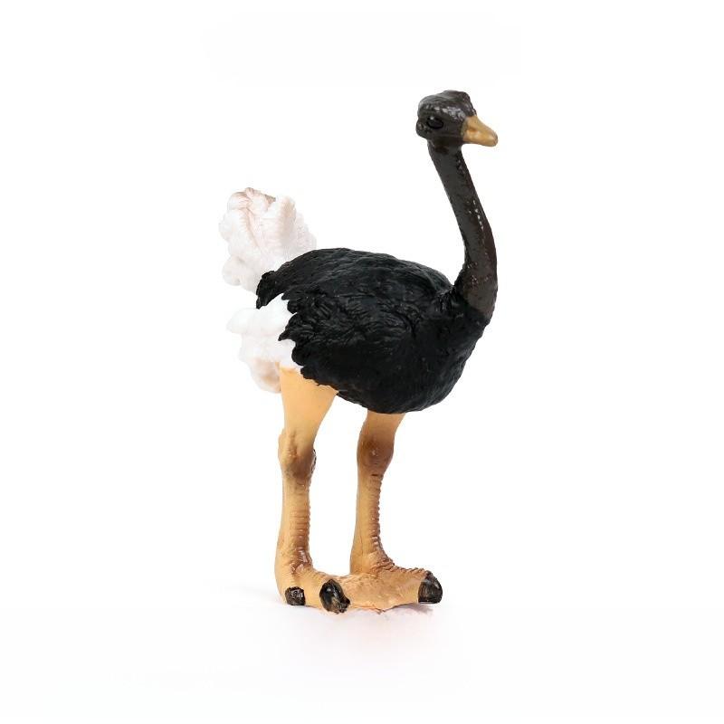 Childrens Wildlife Animal Toy African Ostrich Plastic Model For Educational Play Style A