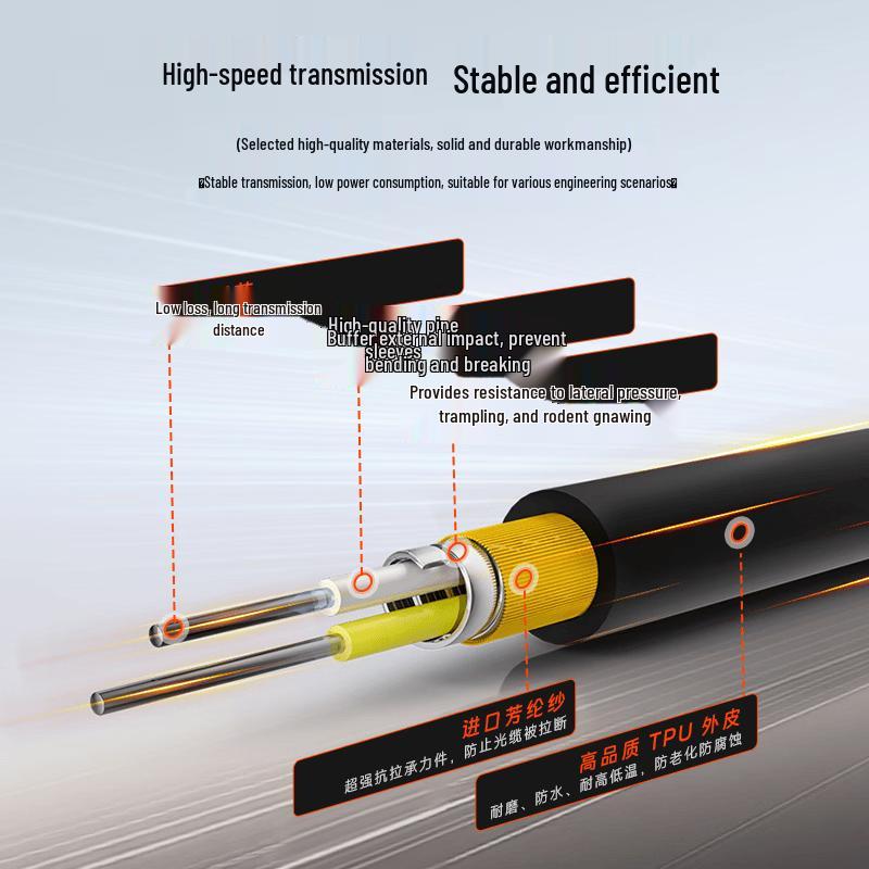 Dasheng Guang Field Beam Expansion Armored Fiber Optic Cable