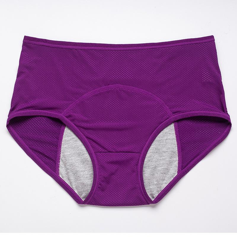 European & American Multi-color Mesh Breathable Mid-High Waist Leak-Proof Menstrual Period Underwear for Women