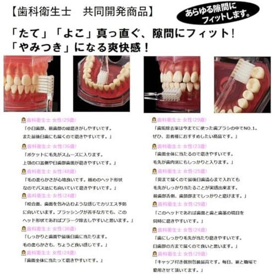 Toothbrush selected dental hygienists square shape Line cap made Japan set 6 4 rows 24 holes (REGULAR)