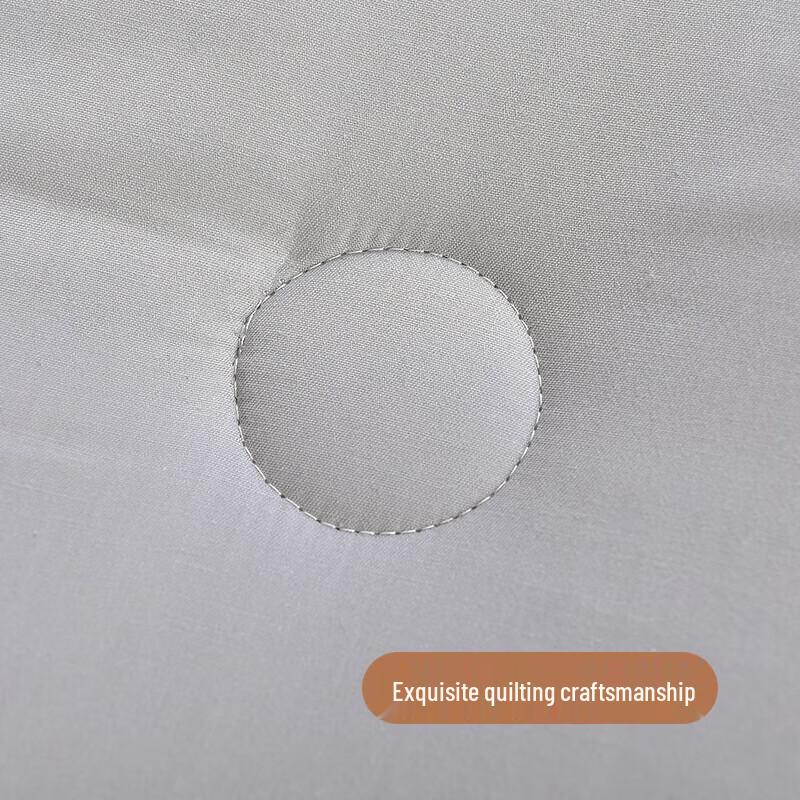 Hengyuanxiang Fiber Winter Quilt