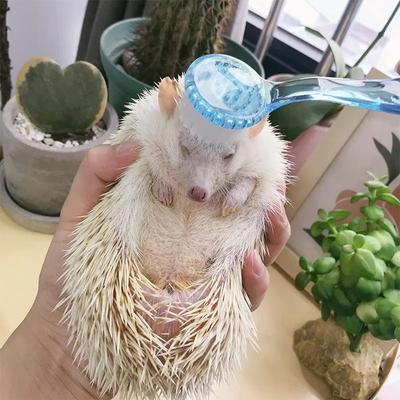 New Tepy Hamster Brush Bathing Brush Guinea Pig Massage Combs for Hedgehog Small Animal Grooming Tools Soft Cleaning Brush