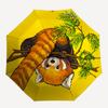 Accessoires – Paraplu's