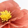 wedding Decoration Tissue Paper Flowers DIY Paper Pom Poms Balls Lanterns Party Decor Craft Wedding Supplies