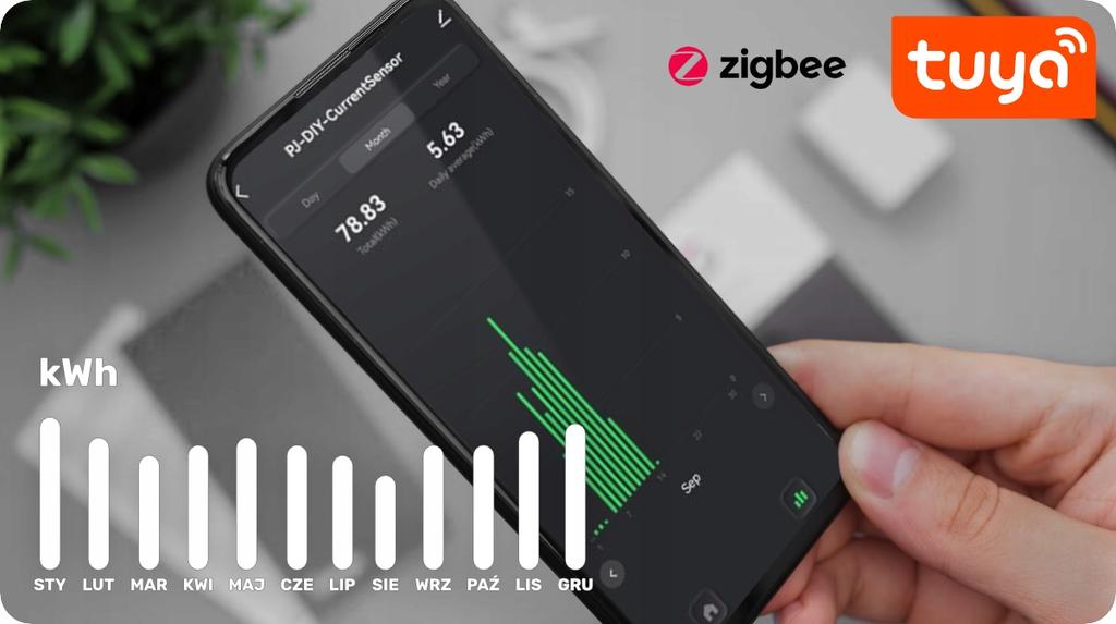 Dopuszkowy Licznik Energii Pętla Zigbee Z Klamrą