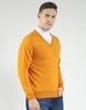 MONTE CARLO Men's Wool Full Sleeves Sweater | V-Neck | Regular Fit| Solid Pattern |Warm & Stylish Pullover Cardigan for Men