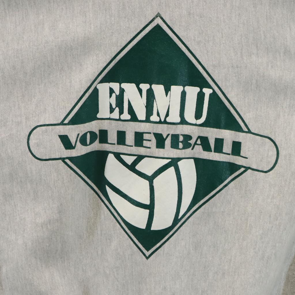 Champion 90s Old embroidered tag made in USA Volleyball Print Long sleeve Reverse Weave Sweatshirt trainer Men's Used