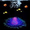 Silicone Aquarium Landscaping Colorful Christmas Tree Coral Aquatic Plants  Tabletop