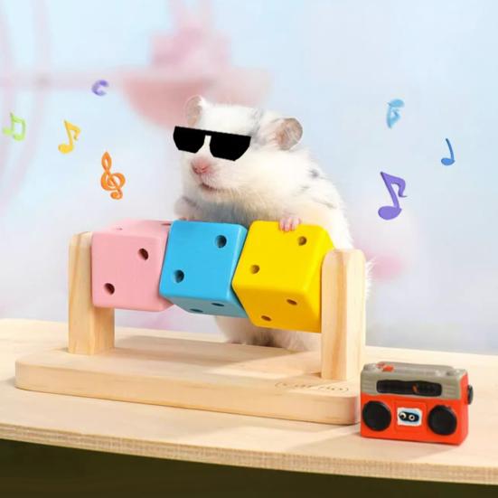 Hamster Enrichment Toy Wooden Painted Cubes Guinea Pig Chew Toy Pet Teeth Grinding Toy for Dwarf Hamsters Rabbits Gerbils Chinchillas