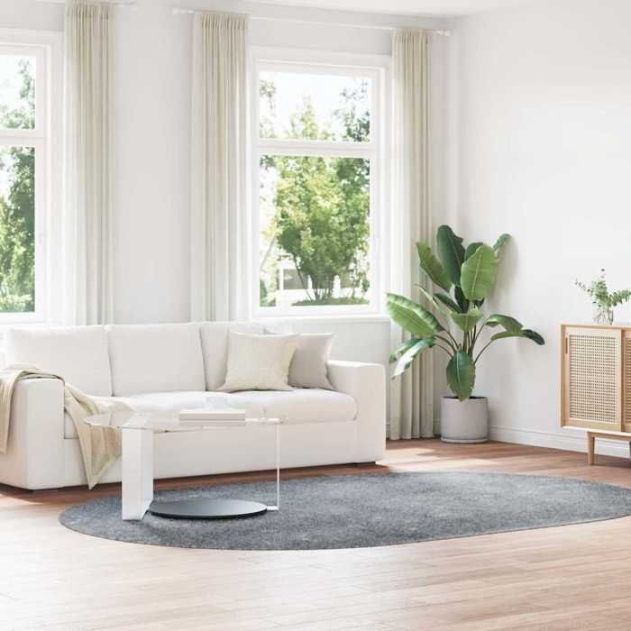 VidaXL Shaggy Rug with Long Pile Silver Grey 300x200 Cm Polyester, Carpet, Bedroom Rug, Modern Rug, Living Room Rug, 4102940