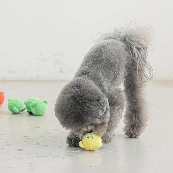 Ciao Me Cane Orso Palla di Caramella Giocattolo Squeak Set da 3 pezzi 5,5 x 5,5 cm, Rosso, Verde, Giallo, 1 set