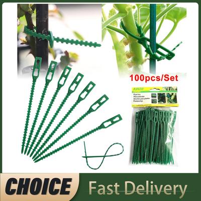 100pcs Reusable 13cm Plastic Plant Support Clips Clamps For Plants Hanging Vine Garden Greenhouse Vegetables Tomatoes Clips