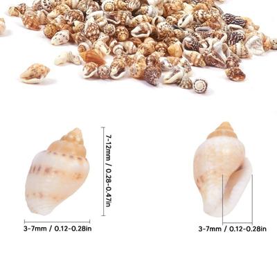1 Dose Kleine Muscheln Nicht Porös Natürliche Spiralmuscheln Muscheln Für DIY Aquarium Landschaftsgestaltung Treibholzflaschen Dekoration