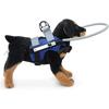 GabeFish Blind Dog Safety Gear, Anti-Collision Ring for Dogs, Reflective Bumper Collar Blue-Upgrade Small