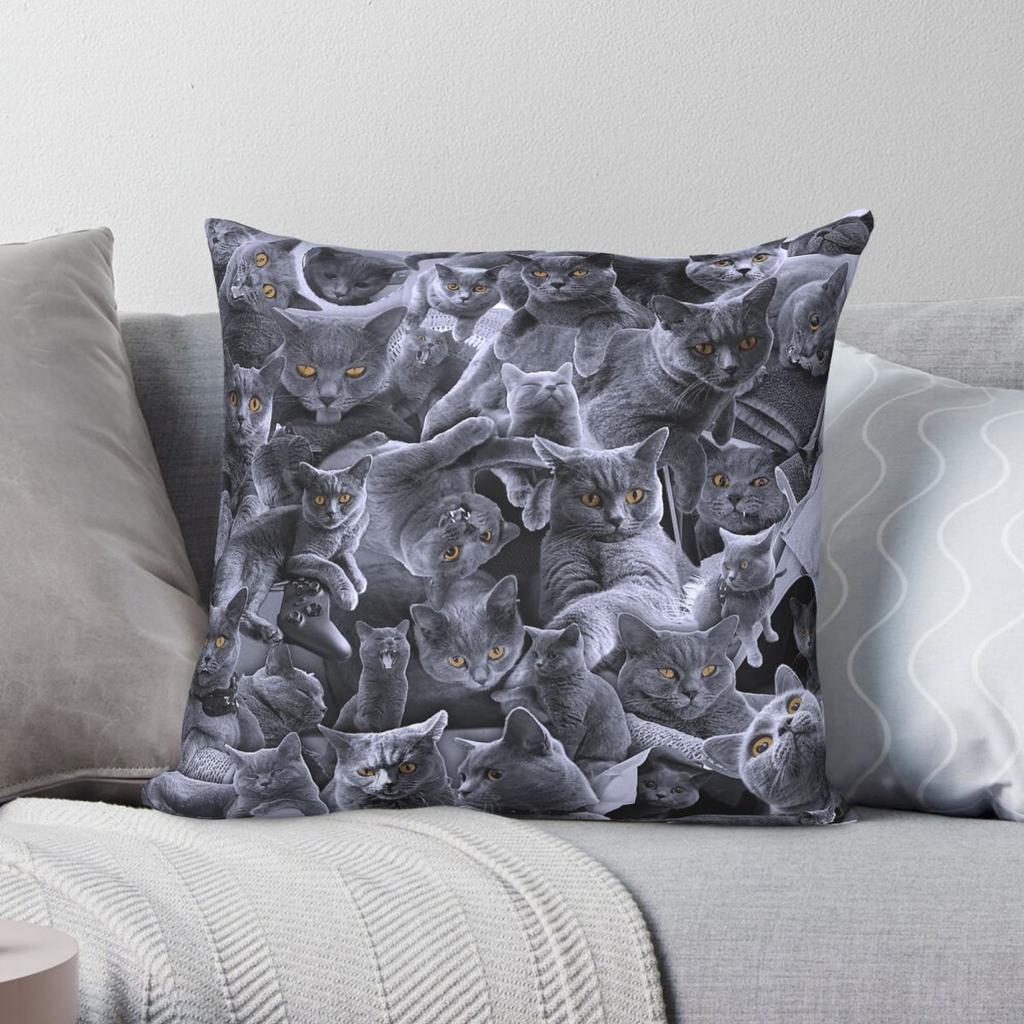 British Shorthair Cat Collage Square Pillowcase Polyester Linen Velvet Creative Zip Decorative Room Cushion Case