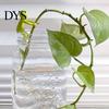 Multi-purpose Plant Stand Hydroponic Plants Pothos Ivy Lucky Bamboo Succulents Desktop Bracket Cartoon Holder with Clamp Design Indoor Garden