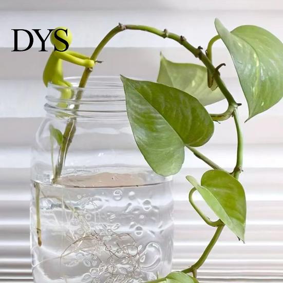 Multi-purpose Plant Stand Hydroponic Plants Pothos Ivy Lucky Bamboo Succulents Desktop Bracket Cartoon Holder with Clamp Design Indoor Garden