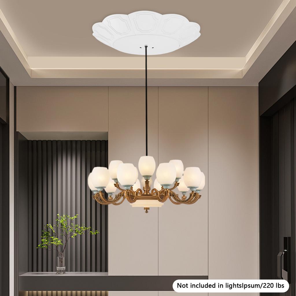 2-in-1 Switch Chandelier Hoist Lift System, 100kg/220lbs Capacity, Modern White Ceiling Light Lift, Chandelier Elevator Hoist